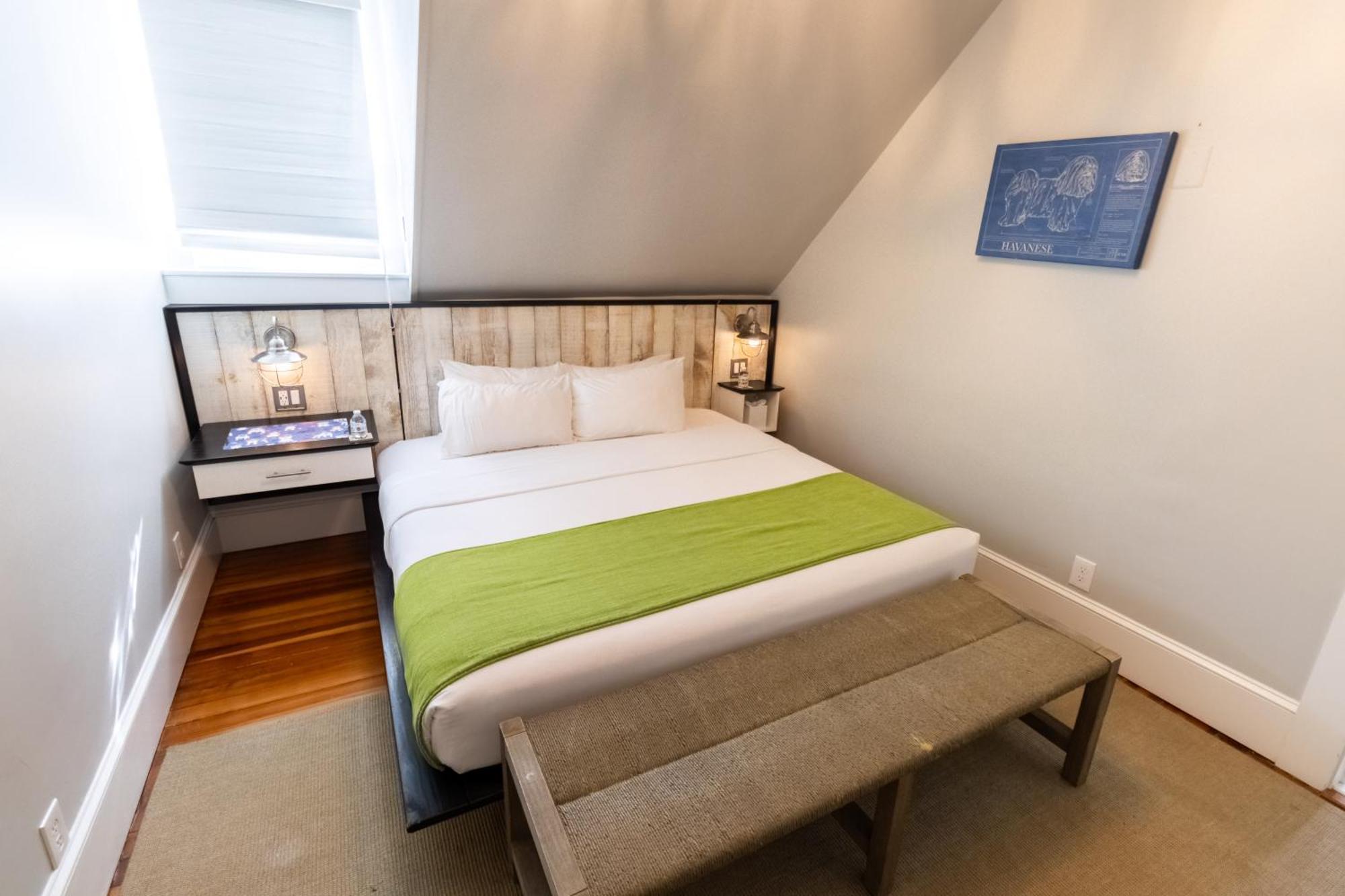 Bed and Breakfast Paws On Pelham (Adults Only) à Tour de Tour de Newport Extérieur photo