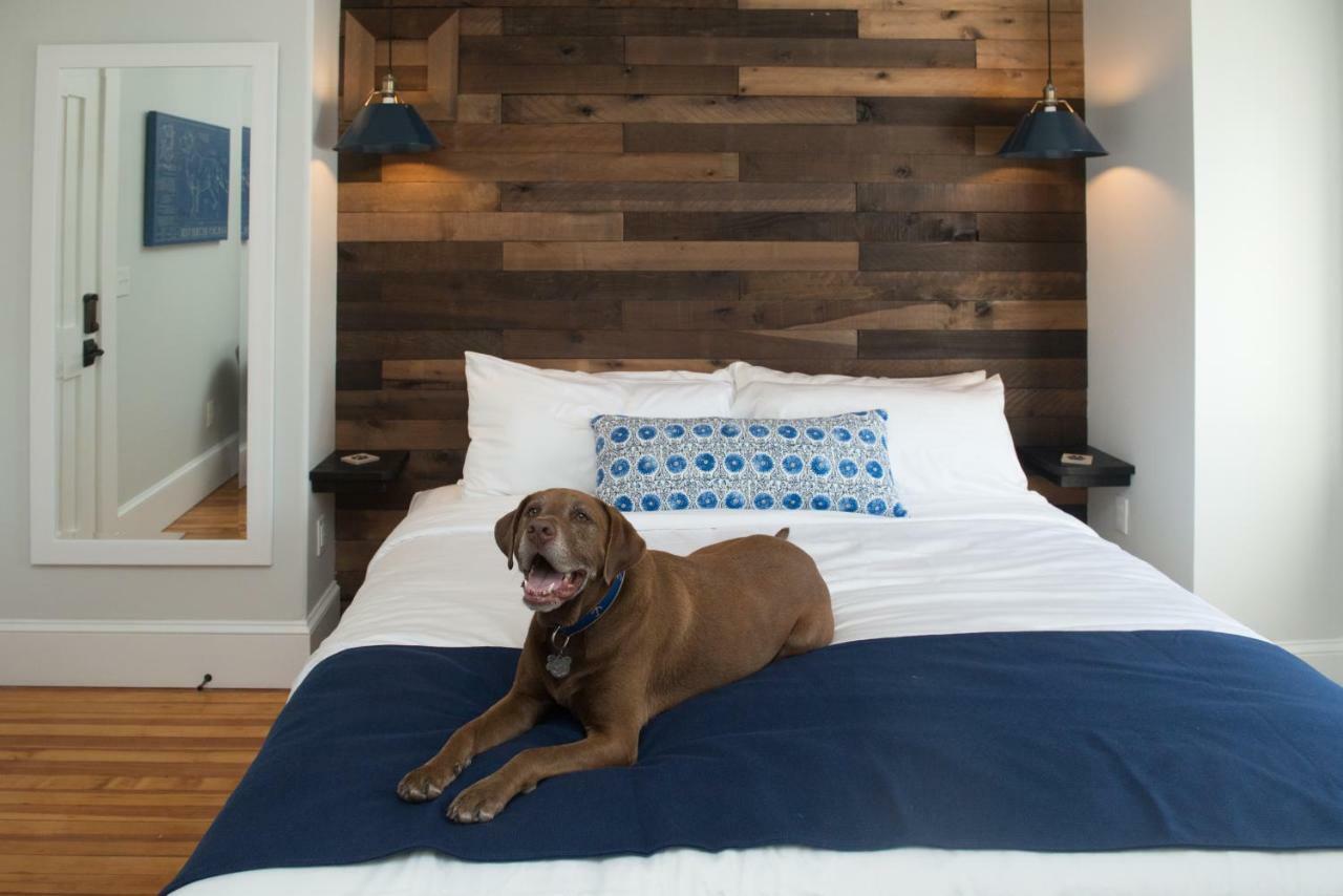 Bed and Breakfast Paws On Pelham (Adults Only) à Tour de Tour de Newport Extérieur photo