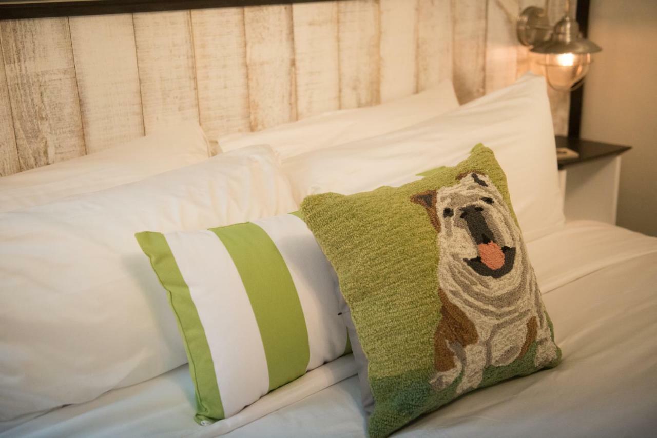 Bed and Breakfast Paws On Pelham (Adults Only) à Tour de Tour de Newport Extérieur photo