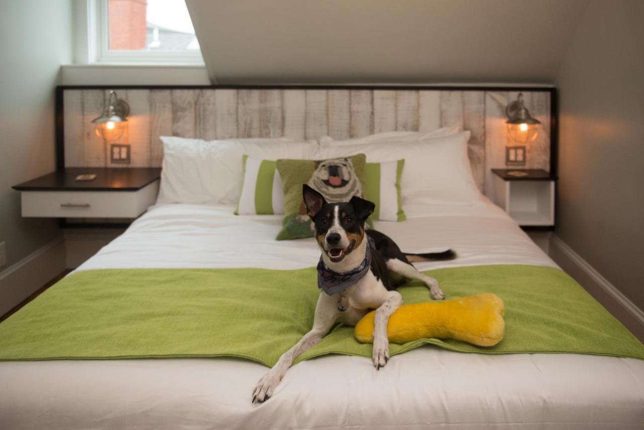 Bed and Breakfast Paws On Pelham (Adults Only) à Tour de Tour de Newport Extérieur photo
